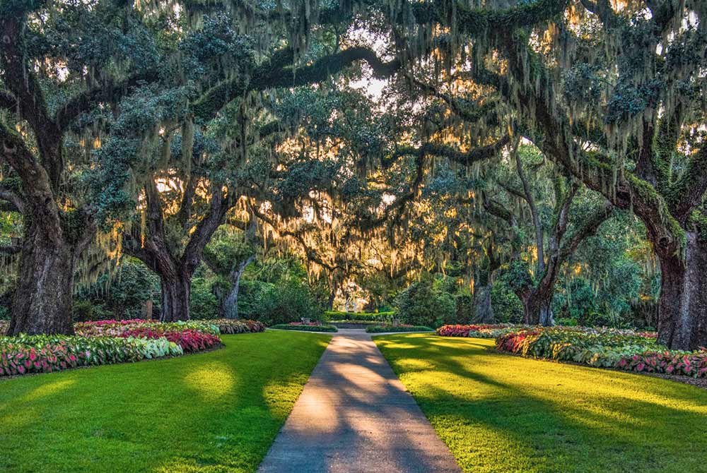 A paved path runs through a garden with large, moss-draped oak trees, lush green grass, and colorful flower beds under warm sunlight—a perfect spot to add to your list of things to do in Latta and Florence SC.